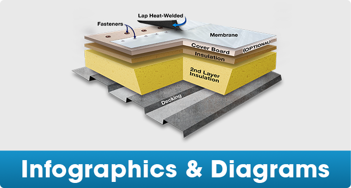 Infographics and Diagrams